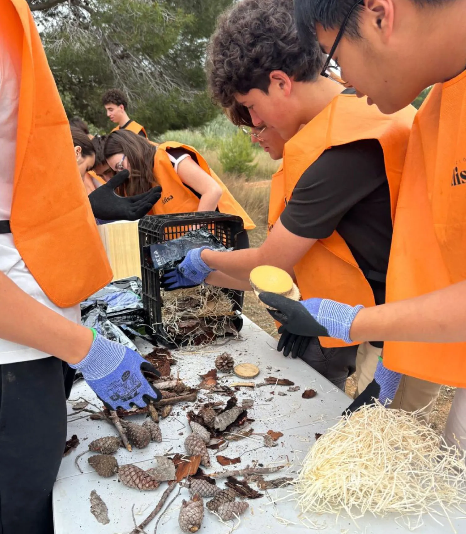 Jóvenes voluntarios plantando árboles al aire libre