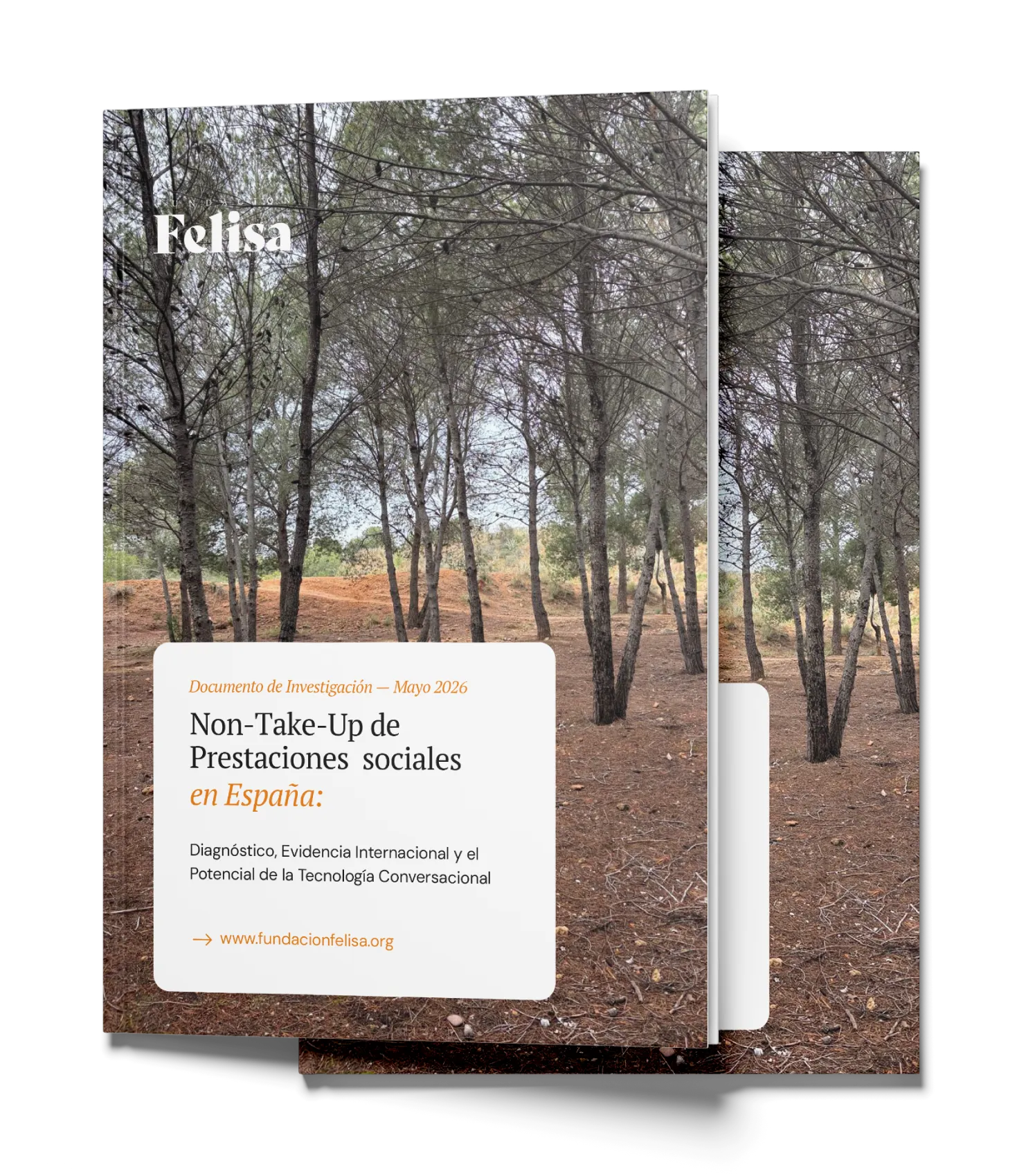 Portada del informe «Non-Take-Up de Prestaciones Sociales en España» de Fundación Felisa