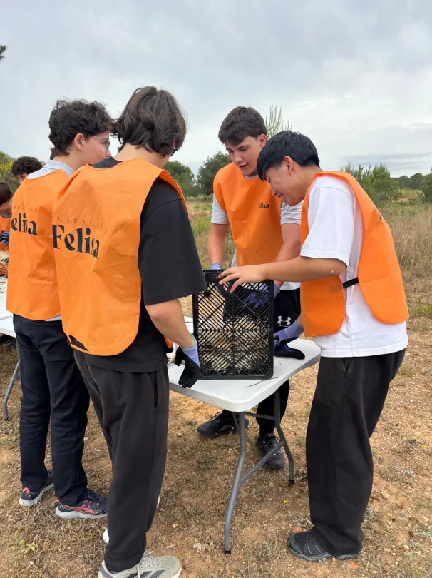 Grupo de jóvenes con chaleco de Fundación Felisa examinando una caja nido