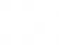 Social Nest Foundation